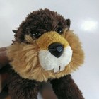 Bild 6 von 11