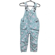 OshKosh B  Gosh Girls Pale Green Floral Overalls 24M
