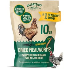 Feather Growth Boost: Dried Mealworms for Poultry & Wildlife