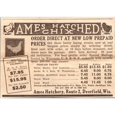 Ames Hatchery Hatched Chix Deerfield WI 1940 Racine WI Clipping SAH5-2