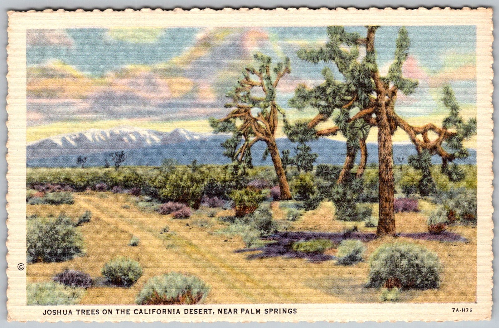 Vtg Linen Postcard Joshua Trees Palm Springs, CA 1930s