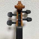 Picture 8 of 16