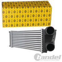 Hella LadeluftkÜHler TurbokÜHler Passend FüR CitroËN C4 Peugeot 307 | 8ML 366