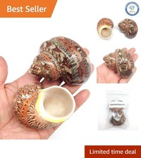 Natural Large Hermit Crab Shells - 2 PC Set 2-2.5 Inch for Aquatic Homes