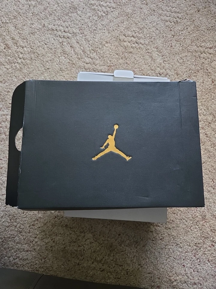 Nike Air Jordan 10 Retro GS Size 6.5Y 30TH Lady Liberty Metallic 705179-045 - Image 2 of 4