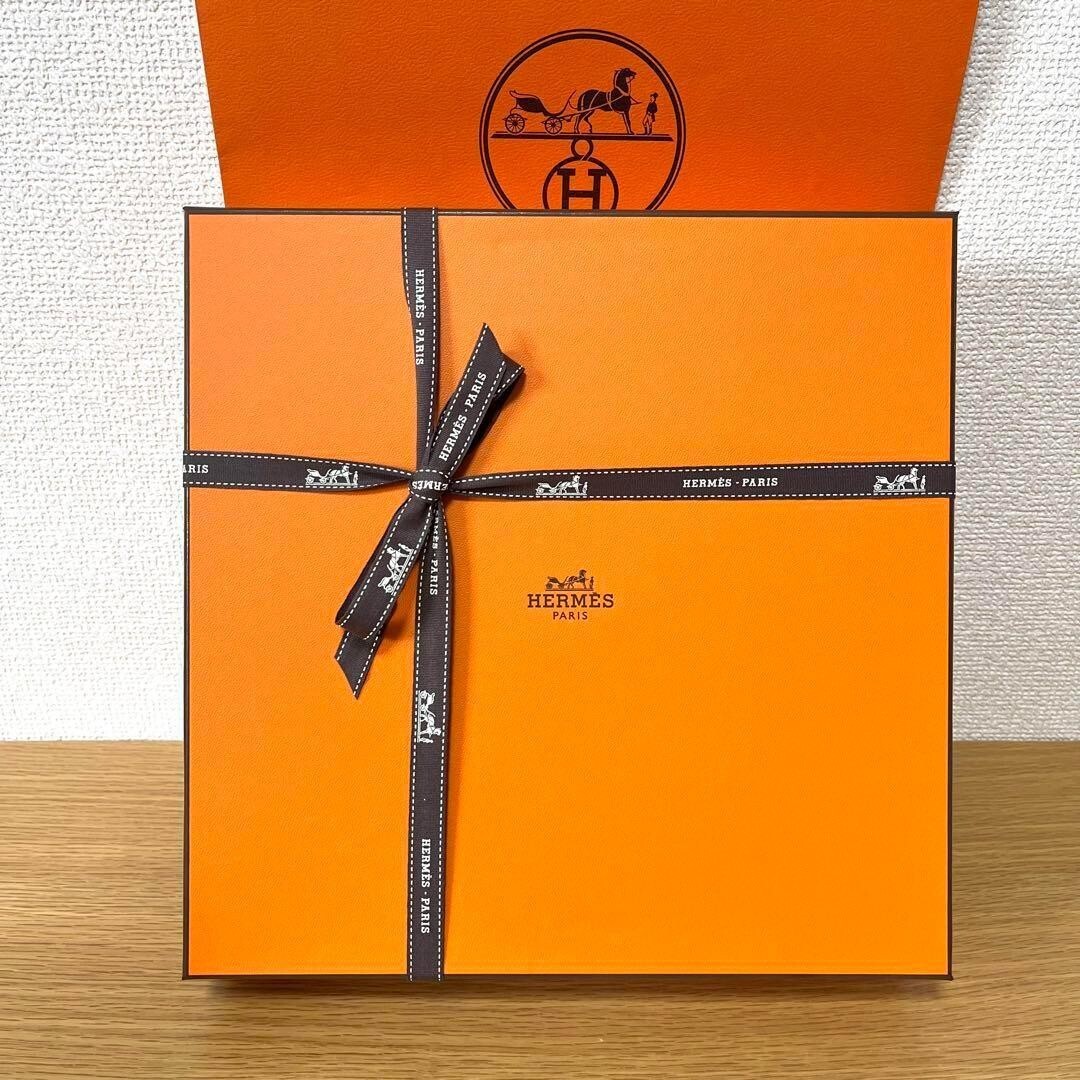 Hermes Rally 24 Oval Plate 22cm White 2-piece set Genuine box
