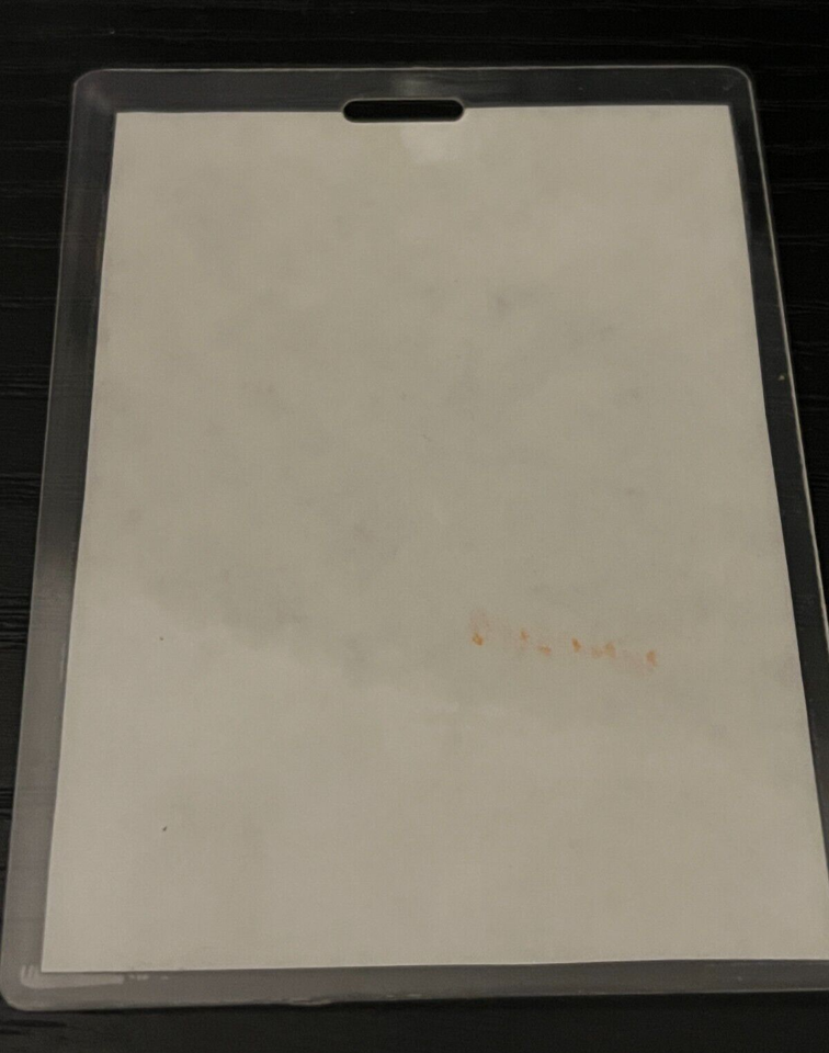 DAVID SANBORN 1991 TOUR CHICAGO THEATER 8111991 BACKSTAGE PASS