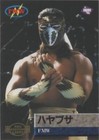 1995 BBM Pro Wrestling - Hayabusa #35