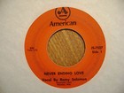 AMERICAN/CUCA 45 RECORD/ROMY SALZMAN/I'D FIGHT THE WORLD/NEVER ENDING LOVE — photo 2