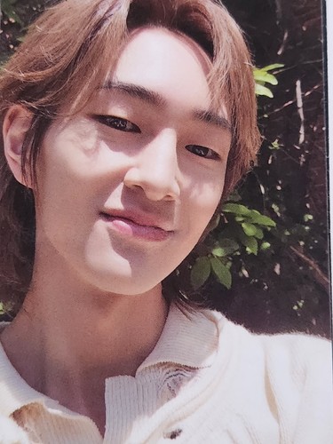 SHINee Random TRADING CARD SET photocard THE MOMENT OF Shine 15th Anniversary - Picture 12 of 27