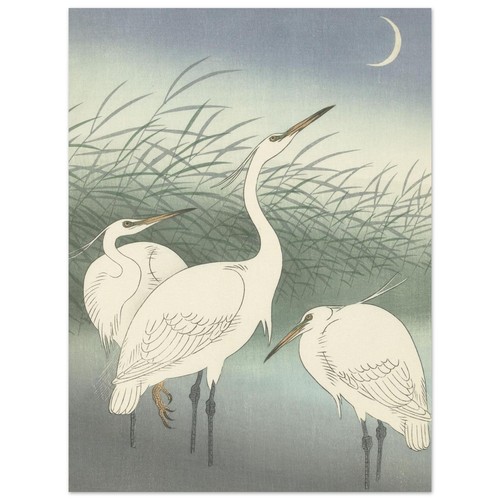 Japanese Cranes Art Print - Moonlit White Herons Vintage Wall Poster