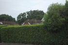 Bild 10 von 12