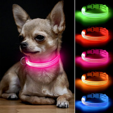Light up Dog Collar, Rechargeable LED Dog Collar Glow in the Dark Cat Collar Ref