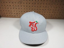 New Era mens gray mesh Fort Wayne Tincaps fitted baseball hat 8