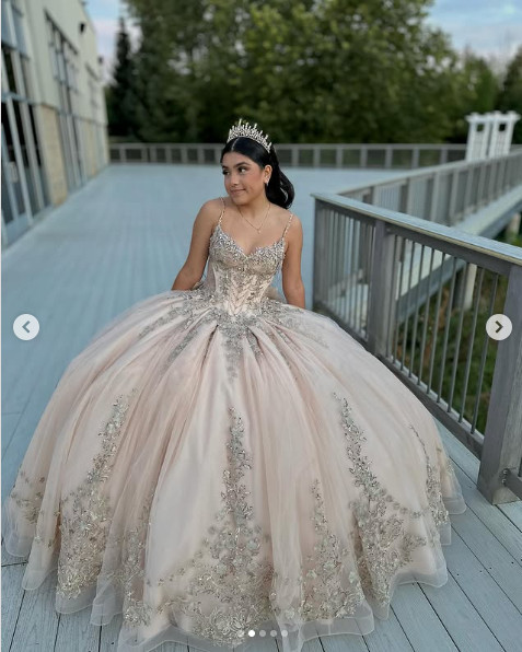 Preciosos Vestidos de Quinceañera Sin Mangas Lazo Espalda Tul Vestido de Baile Hasta el Suelo
