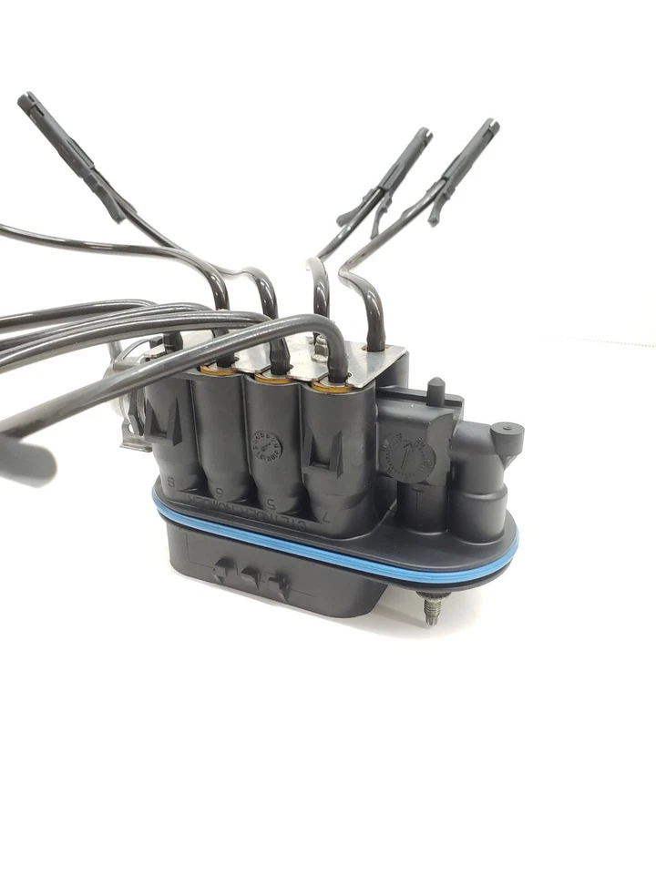 Inyector de araña de combustible de puerto central para camioneta Chevy V8 5,7 L 5,0 L Foto 3 de 4