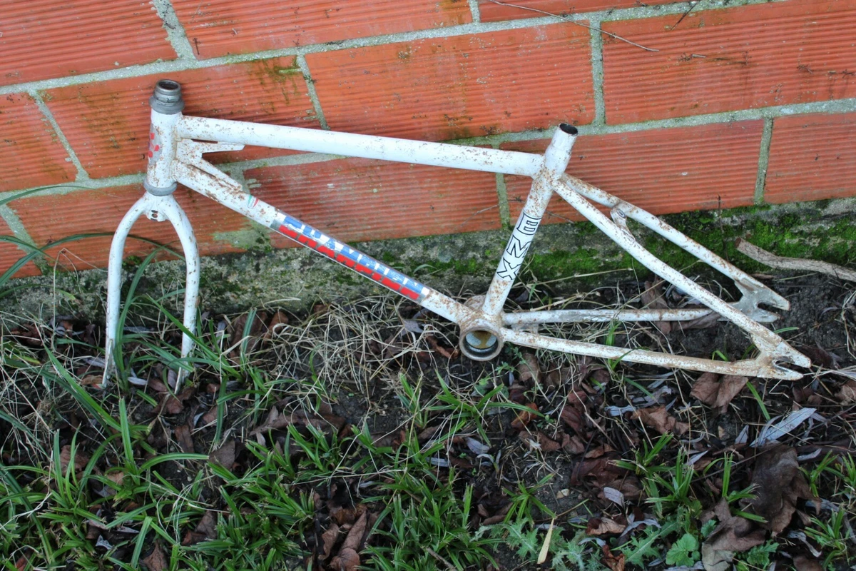 Raleigh burner online oval frame