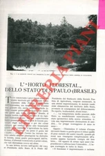 AZZOLINI O. - L' “Horto Florestal” dello Stato di S. Paulo (Brasile) .