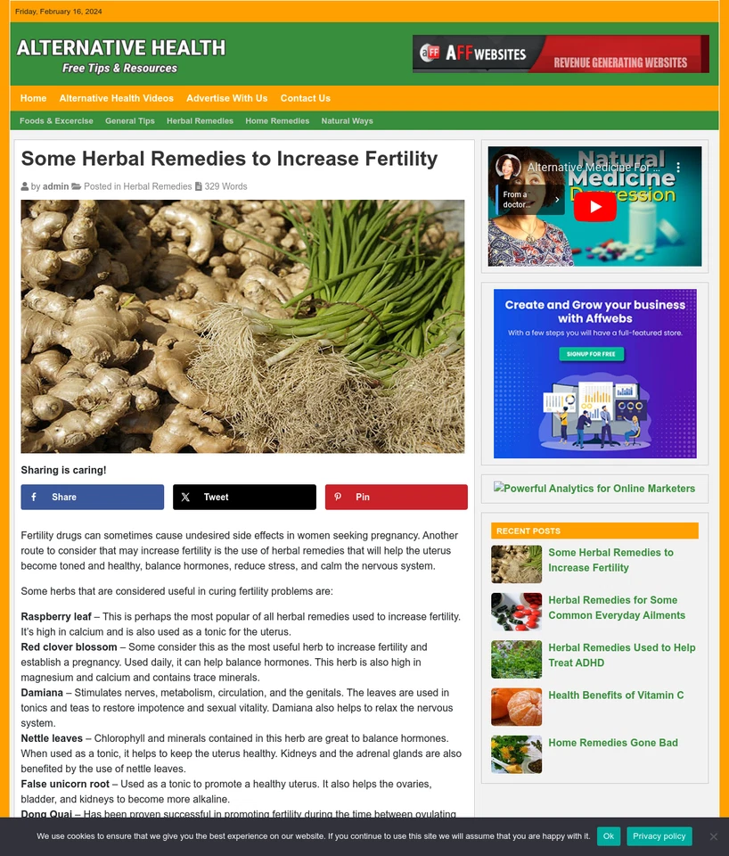 Alternative Health Remedies Website Business For Sale: Ready-to-Launch - Image 3 of 3