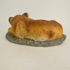 Foto 4 di 11