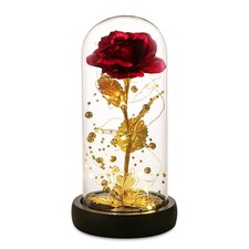 Valentines Day Gifts for Her,Valentines Women,Flowers 24k Red Rose 