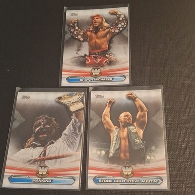 Topps WWE Legends Relics 2015 Shawn Michaels Mankind Stone Cold 3 Card Lot