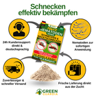 Bild 41 von 50