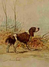 A4 Foto Graf Maud 1864 1943 Der Krafthund 1910 English Springer Spaniel Druck P