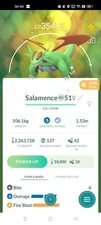 Pokemon Shiny Salamence ( Maxed Out To Level 40 ) ( Two Charged Moves ) Go