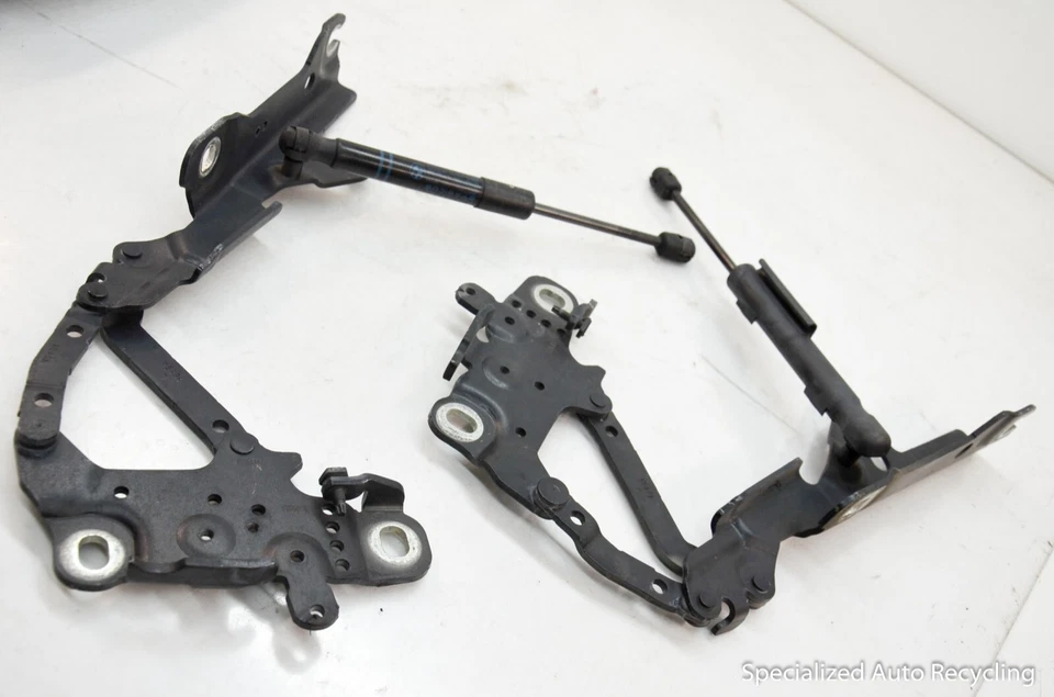 BMW 335I 2015 juego de bisagras de capó puntal de choque OEM Foto 4 de 4