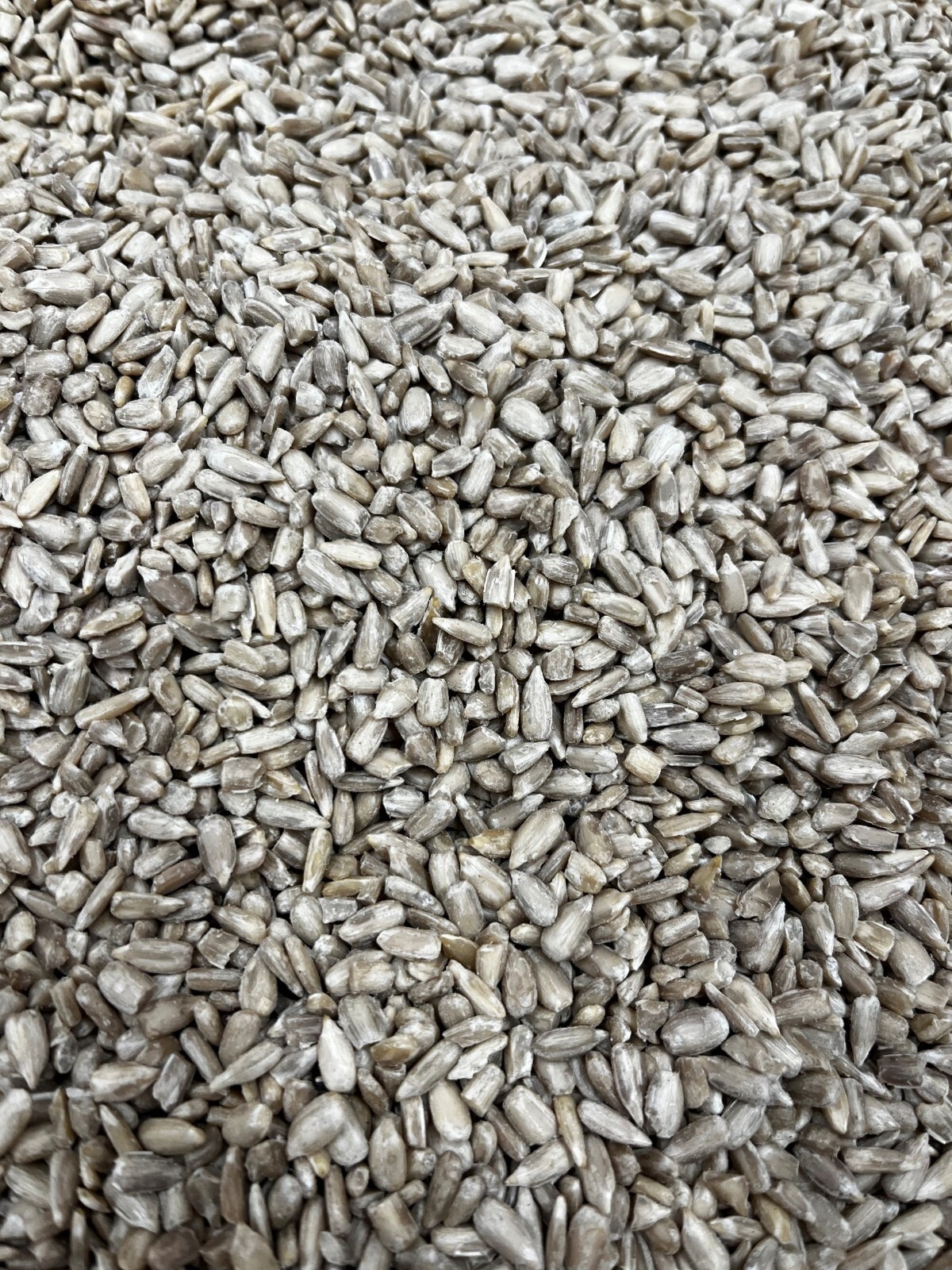 Sunflower Hearts Bird Seed Multiple Quantities Available eBay