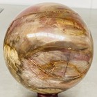 Natural Petrified Wood Polished Stone Quartz Crystal Sphere Ball Healing 2480G — photo 10