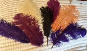 6 Large Vintage Ostrich Plumes Hat Feathers Millinery Trim 14”-16”