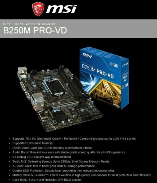 MSI B250M PRO-VD Socket LGA 1151 Micro ATX Placa Base (7A74-002R ...