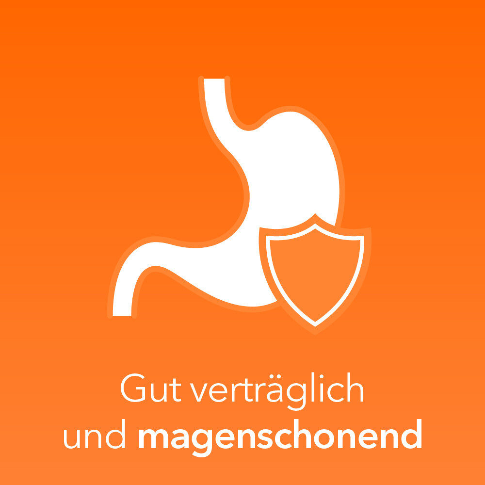 Bild 2 von 5