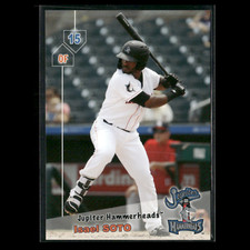 Isael Soto 2019 Jupiter Hammerheads Team Set Baseball Card MLB NM