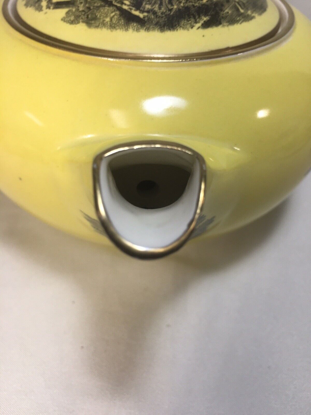 Picture 9 of 12