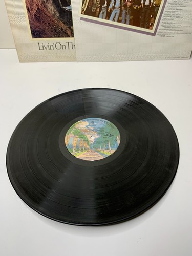 The Doobie Brothers Livin’ On The Fault Line 12” LP Vinyl Record 1977 Warner Bro - Imagen 6 de 9