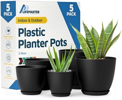 decorative air plants Air Plants Decor 2-pack: Pet Friendly Plants - 1 Black Air Plant Holder & 1  White Air Plant Hanger Included - Live Air Plant Decoration Duo main image 1