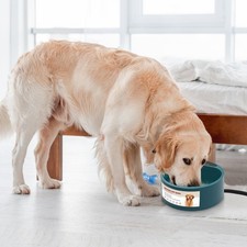 1Pc Heated Water Bowl For Dog Cat 74.4OZ Heating Dish IP67 Waterproof Thermal