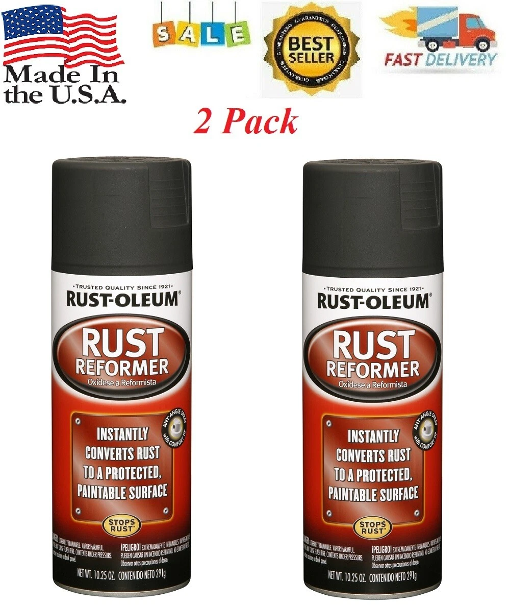 9 oz. Black Rust Reformer Spray Paint