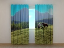 Photo curtain bears in a field, photo curtain with motif, curtain to measure