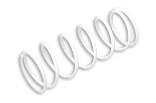 KIT FRIZIONE E CAMPANA + MOLLA MALOSSI VOGE SFIDA SR1 ADV 125 ie 4T euro 5 2024 - Imagen 3 de 5
