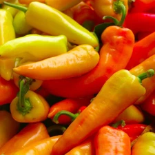 30+ HUNGARIAN SWEET WAX PEPPER SEEDS NON-GMO FRESH FOR YOUR GARDEN