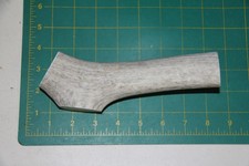 XLarge Upper Elk Antler Dog Chew 71 / bone chews moose treats deer 1106