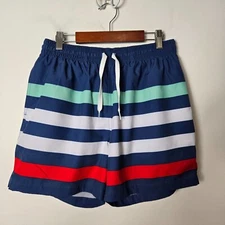 Chubbies Men's Size M The Me Likey The Stripey 5.5" Classic Swum Trunk Shorts
