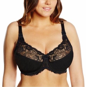 LACE BRAS Sexy Sheer Lace Plus Size Bras @ Lavinia Lingerie.Free Shipping wendy black sheer lace soft bra and size