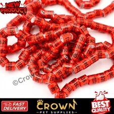 50 Pcs Pigeon Leg Bands  Rings With Word Earrings Quality Durable Red Color