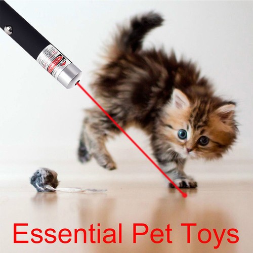 10x Mini 650nm Red Laser Pointer Pen Visible Beam Single Point Lazer Cat Pet Toy - Picture 9 of 19