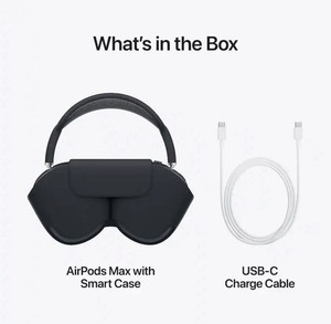 Airpods Pro Max Silver | eBay